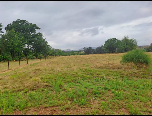 37.90HA FARM FOR SALE IN MODDERFONTEIN AH